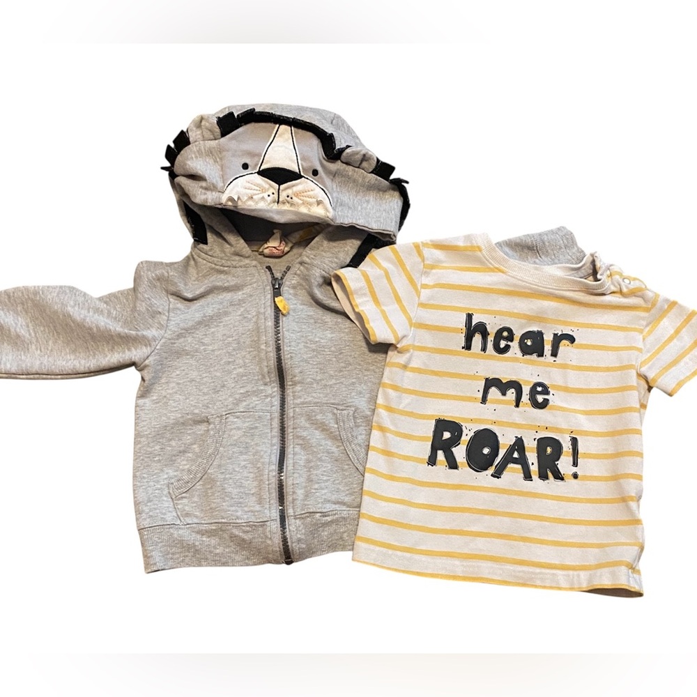 Rorie Whelan Lion Hoodie and T-shirt Set 24M